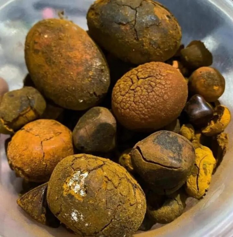 OX GALLSTONES from Cameroon